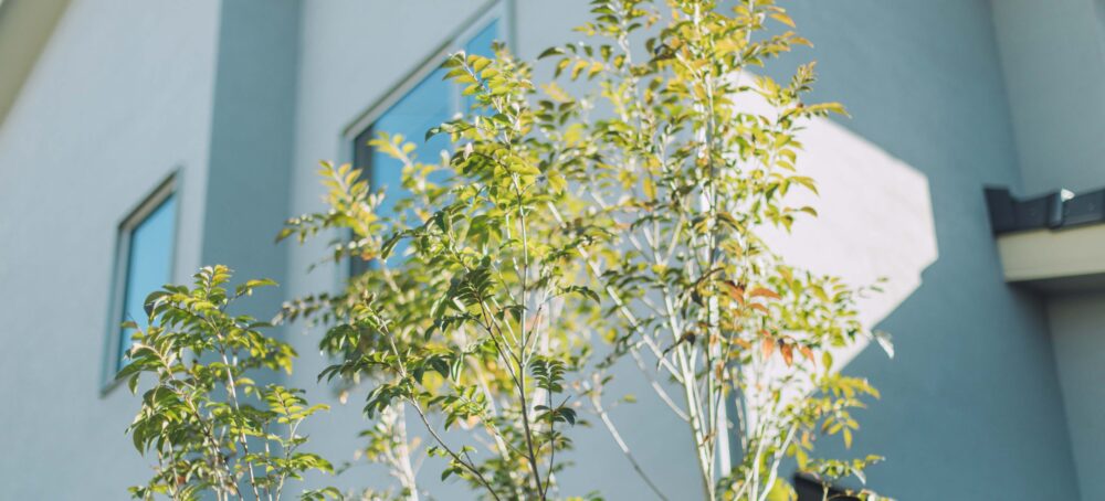 海が見える書斎のある家