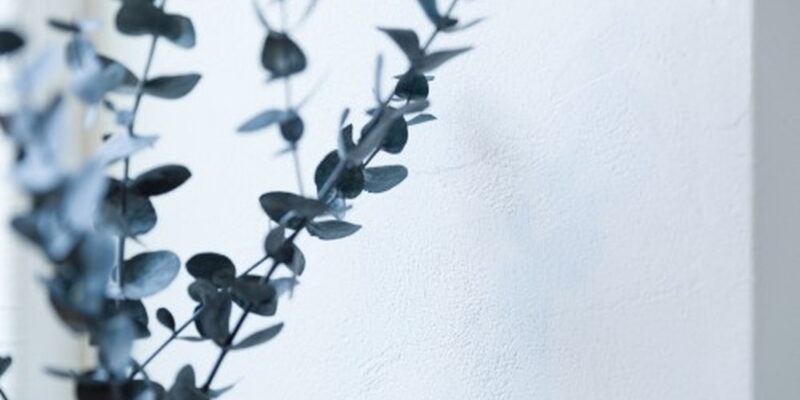 7Z4A0608-e1519287399423_1000